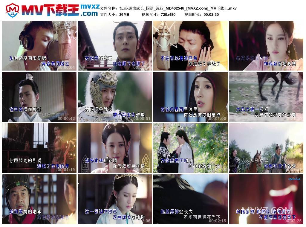 忆辰-逆境成长_国语_流行_MD402546